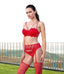 Lace Bra, Garter Belt & Panty Set - Garter Set by NRTKS